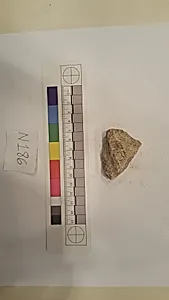 Stucco Fragment