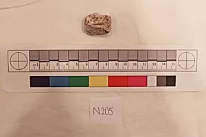 Stucco Fragment