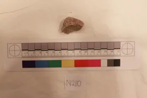 Stucco Fragment by Unknown Artist