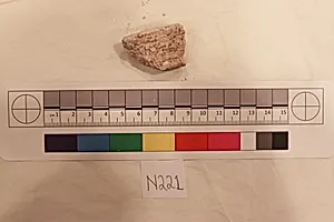 Stucco Fragment