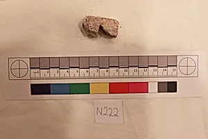 Stucco Fragment