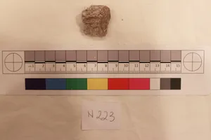 Stucco Fragment by Unknown Artist