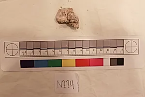 Stucco Fragment