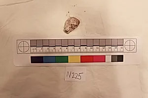 Stucco Fragment by Unknown Artist