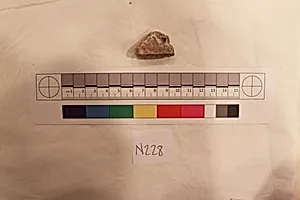 Stucco Fragment