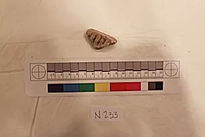 Stucco Fragment