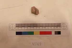 Stucco Fragment by Unknown Artist