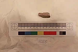 Stucco Fragment