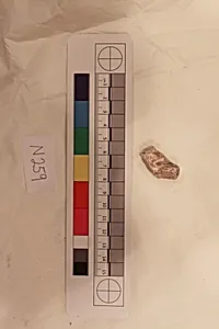 Stucco Fragment