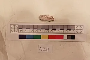 Stucco Fragment