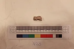 Stucco Fragment