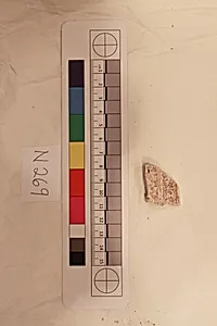 Stucco Fragment