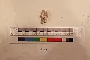 Stucco Fragment