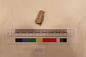 Stucco Fragment