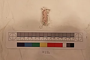 Stucco Fragment