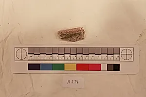 Stucco Fragment by Unknown Artist