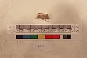 Stucco Fragment