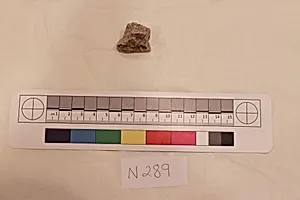 Stucco Fragment