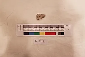 Stucco Fragment by Unknown Artist