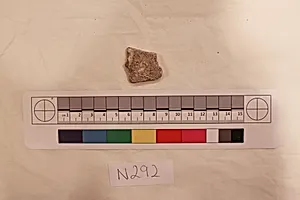 Stucco Fragment