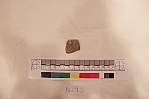 Stucco Fragment