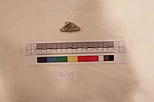 Stucco Fragment