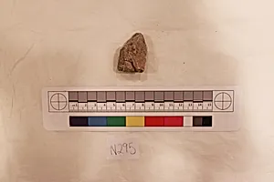 Stucco Fragment by Unknown Artist