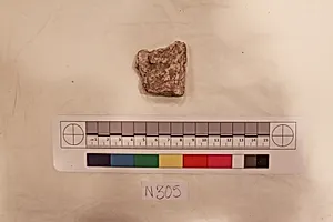 Stucco Fragment