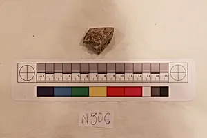 Stucco Fragment