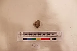 Stucco Fragment