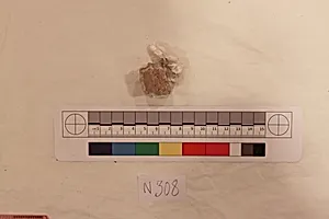 Stucco Fragment