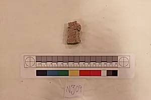 Stucco Fragment