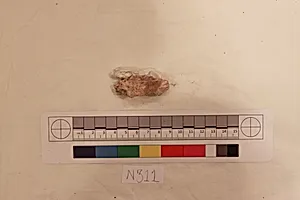 Stucco Fragment