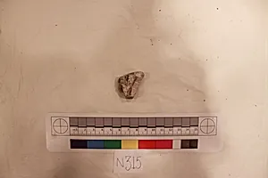 Stucco Fragment