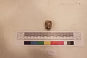 Stucco Fragment