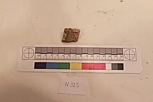 Stucco Fragment