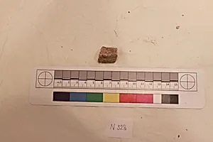 Stucco Fragment