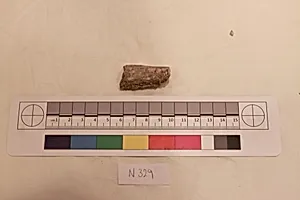 Stucco Fragment by Unknown Artist