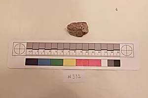 Stucco Fragment