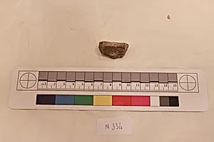 Stucco Fragment