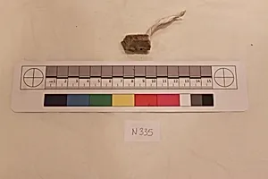 Stucco Fragment