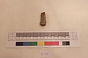 Stucco Fragment