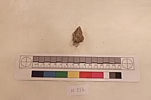 Stucco Fragment
