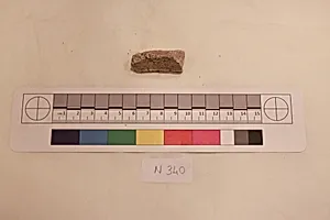 Stucco Fragment