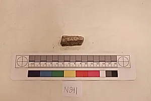 Stucco Fragment by Unknown Artist