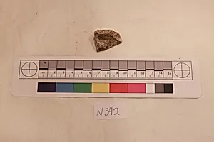 Stucco Fragment