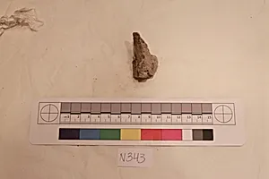 Stucco Fragment