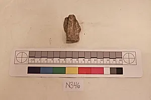 Stucco Fragment
