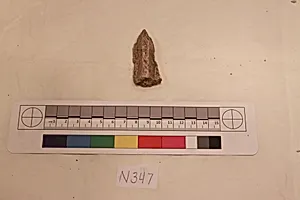 Stucco Fragment