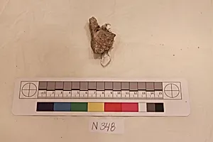 Stucco Fragment